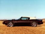 Pontiac Firebird Trans Am Convertible by Contec 1981 года